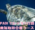 PADI CJ[hŒZ3ԍh擾R[Xē